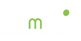BLUMOS Distribuidora e Comercial | entregando soluções